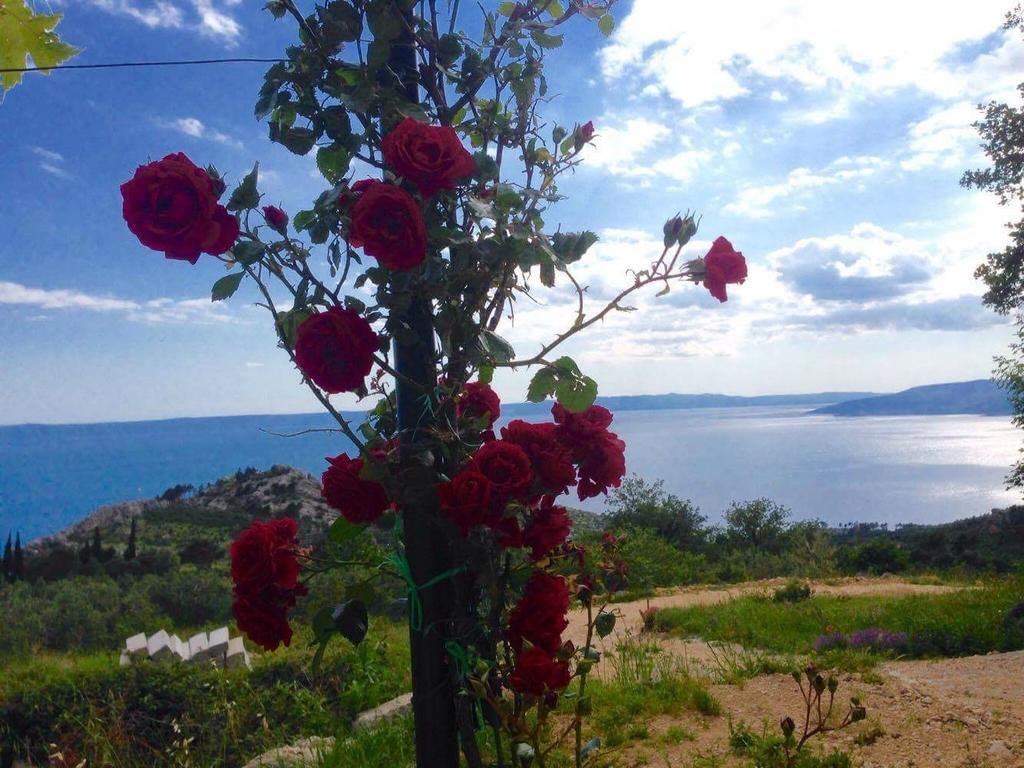 Apartments Aman Makarska Dış mekan fotoğraf